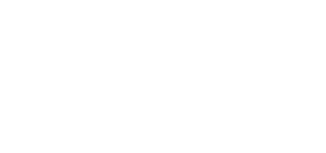 Referenz bridgelinz Logo